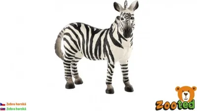 Produktbild von Zebraberg zooted