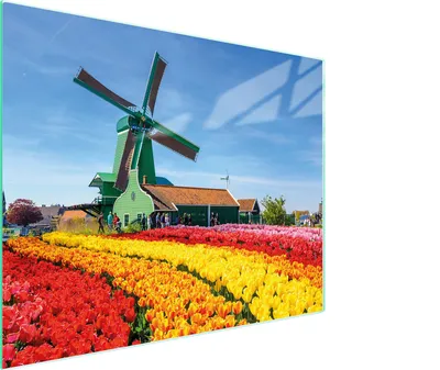 Obrázek produktu pro Skleněná krájecí deska 52x40 Zobrazit