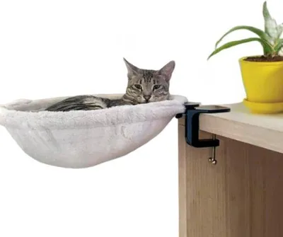 Obrázek produktu pro Krmivo pro výcvik koček - 1 kus - průměr 40 cm - vyrobeno z měkkých materiálů - vhodné pro kanceláře a domácí mazlíčky - bílá barva