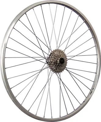 Produktbild von 28 Zoll Hinterrad Alu Hohlkammerfelge Shimano Cues Disc Nabe mit 8 fach Kassette silber