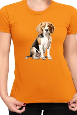 Produktbild von Damen T-Shirt Dogs Breeds Beagle Dog Breed 008, Lady S / Orange