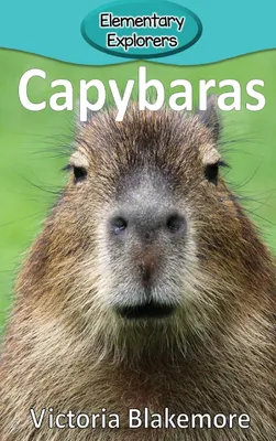 Produktbild von Capybaras