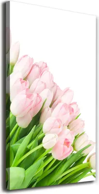Imagen del producto de Tulup Lienzo® - 70x140 cm - Arte para la pared - Impresiones sobre lienzo - Impresión en lienzo - Decoración de pared para salón de gran tamaño - Decoración para el hogar, impresiones artísticas - Flores y plantas - Verde - Tulipanes rosas