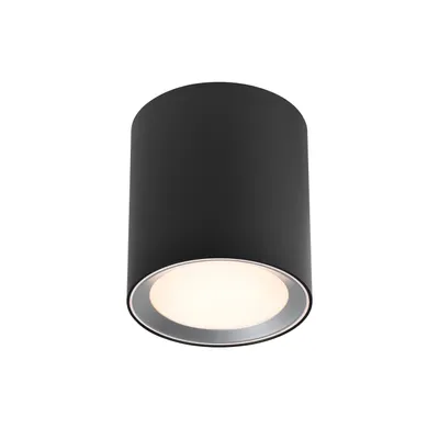 Obrázok produktu pre Nordlux Landon Long LED bathroom ceiling light LED (monochrome) LED 6.5 W Warm white to cool white Black