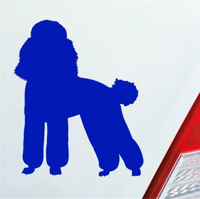 Produktbild von Auto Aufkleber süsser Pudel Hund Dog Tier niedlich Puppy 8x10 cm Dunkelblau Sticker Heckscheibenaufkleber