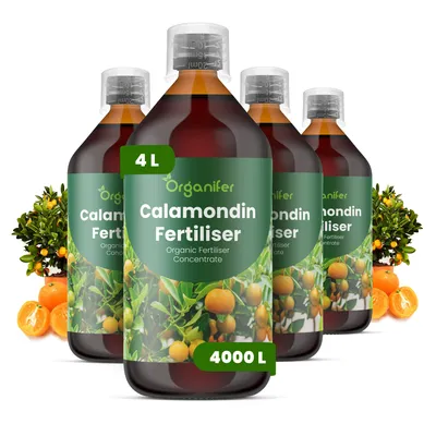 Obrázok produktu pre Calamondin, tekuté hnojivo, 4 x 1 liter – vzorec NPK 2-1-8 – pre citrusové rastliny – podporuje bohaté kvitnutie a tvorbu plodov – posilňuje korene a vitalitu – organické