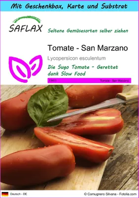 Produktbild von SAFLAX - Geschenk Set - Tomate - San Marzano - 10 Samen - Mit Geschenk- / Versandbox, Versandaufkleber, Geschenkkarte und Anzuchtsubstrat - Lycopersicon esculentum