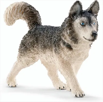 Obrázek produktu pro Schleich 16835 - Husky