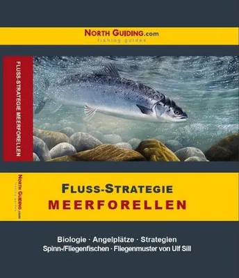 Obrázek produktu pro Fluss-Strategie - Meerforellen