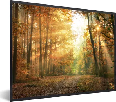 Produktbild von MuchoWow® Gerahmtes Poster Wald - Herbst - Sonne - Landschaft - Natur - Bäume - Laub 80x60 cm - Poster mit Schwarzem Bilderrahmen Wandposter Rahmen Foto Bilder - Schwarzem - Mit Gestell