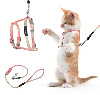 Image de Harnais pour chat avec laisse - Réglable - Tour de cou 15 à 20 cm - Orange - Laisse de 125 cm