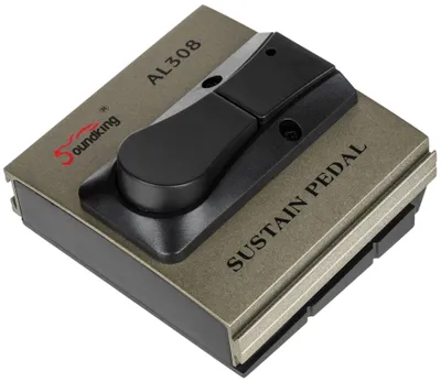 Imagen del producto de Pedal de sustain Soundking AL 308