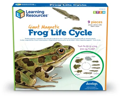 Obrázok produktu pre Learning Resources LSP6041-UK, Biológia, 5 rok / roky, Viacfarebný