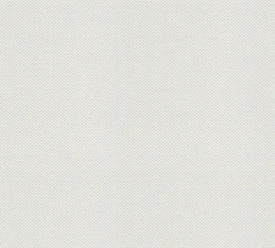 Obrázek produktu pro A.S. Création netkaná tapeta Meistervlies Pro Protect 2, bílá, malovatelná, 25,00 m x 1,06 m, 145512, 1455-12