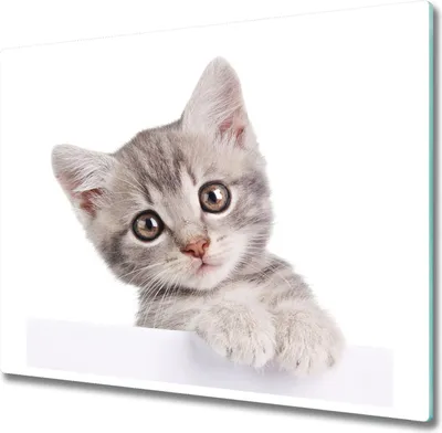 Produktbild von Glas Herdabdeckplatte 60x52 cm Spritzschutz Glasabdeckplatte Schneidebrett Graue Katze