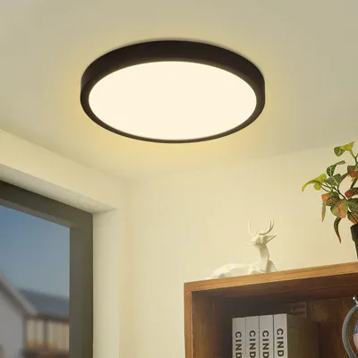 Image de ZMH LED Plafonnier Noir Plat Plafonnier IP44 22cm Blanc Chaud 15W Plafonnier pour chambre cuisine couloir