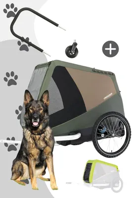 Produktbild von Croozer Dog Tammo Flex & Go Bundle (inkl. Buggyset und Regenverdeck), Farbe:Moss Green