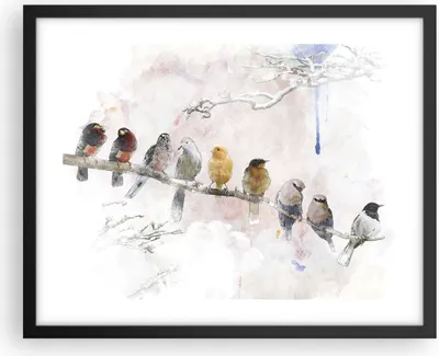 Produktbild von Gerahmtes Poster - Schwarzer Rahmen - Vögel Kanarienvogel Zweig - 50x40 cm - Wand Bild - Wanddeko - Wandbilder - Wandposter - Bilderrahmen - Bilder - Kunstdruck - Wandbild - P2BAA50x40-4175