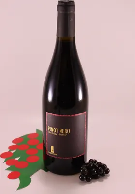 Produktbild von Südtiroler Blauburgunder - 2016 - Weingut Maso Thaler - Motta