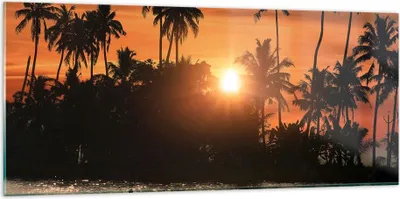 Produktbild von Bilder auf glas - Palme Fluss Sommer - 120x50cm - Glasbilder - Wandbilder - Kunstdruck - zum Aufhängen bereit - Wanddekoration aus Glas - Glas Bilder - Wandbild auf Glas - Einteilig - GAB120x50-3894
