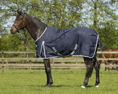 Produktbild von QHP Turnout 600D Regendecke Fleece