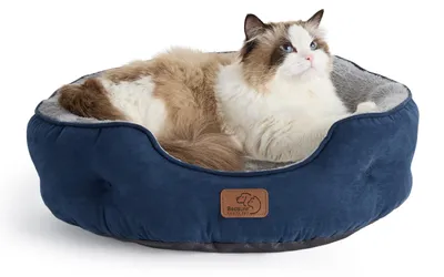 Produktbild von BEDSURE Katzenbett waschbar, 51x48x15cm, Katzenkorb mit Innenkissen, Navyblau