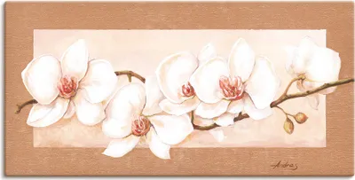 Produktbild von ARTland Leinwandbild Orchideenzweig Größe: 40x20 cm