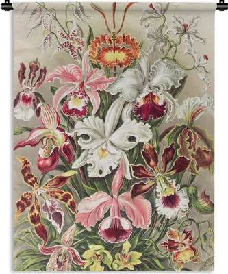 Produktbild von MuchoWow® Wandteppich Wandbehang Blumen - Ernst Haeckel - Jahrgang - Orchidee 120x160 cm Tapisserie Dekoration Wandtuch - Wohnzimmer - Moderne