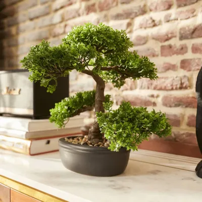 Zdjęcie produktu dla Szmaragdowa sztuczna roślina bonsai mini ficus zielony 32 cm 420002