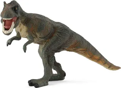 Produktbild von COLLECTA Tyrannosaurus - (L)