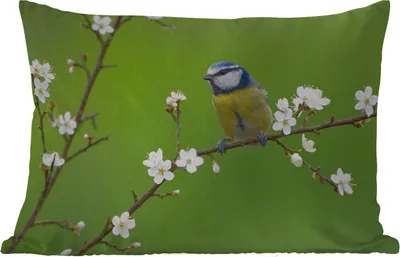 Produktbild von MuchoWow® Outdoor Kissen - Blaumeise - Zweig - Blumen - Blühende Zweige - Vogel - 60x40 cm - Wetterfest - Lounge Kissen - Zierkissen - Kissen für Innenräume