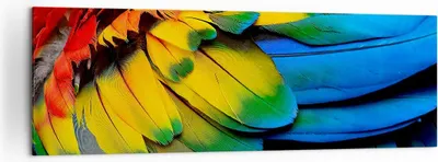 Produktbild von Bild auf Leinwand - Leinwandbild - Feder Papagei Vogel - 160x50cm - Wand Bild - Wanddeko - Leinwanddruck - Bilder - Kunstdruck - Wanddekoration - Leinwand bilder - Wandkunst - AB160x50-3428