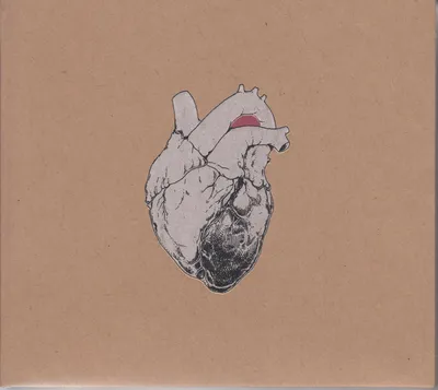 Obrázek produktu pro Swans: The Beggar (Limited Edition) -   - (CD / Titel: Q-Z)