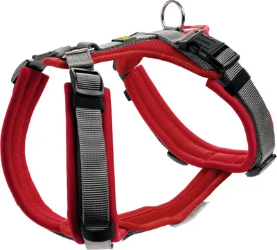 Obrázek produktu pro Postroj Hunter Maldon Up červený/šedý, velikost: XS-S / šířka: 2,0 cm