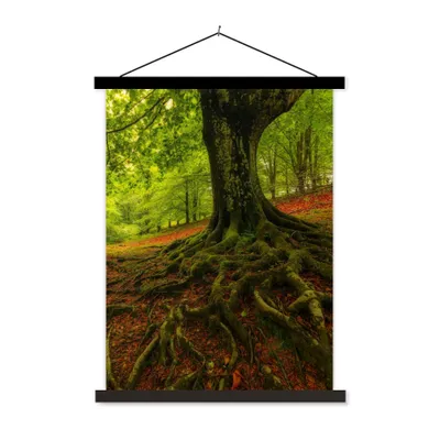 Produktbild von MuchoWow® Textilposter Baum - Wald - Herbstblätter 60x80 cm mit schwarzem Rahmen - Plakathalter