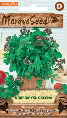 Zdjęcie produktu dla Oregano - oregano 71711