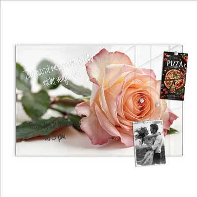 Produktbild von Magnettafel 60x40cm Pinnwand Whiteboard beschreibbar - Elegante Rose Blüte