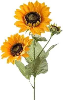 Produktbild von Emerald Künstliche Sonnenblume - Belly | 90 cm, für drinnen, Kunstblume, wie echt, Allergiker geeignet, pflanzliche Dekoration Praxis, Office & Wohnzimmer