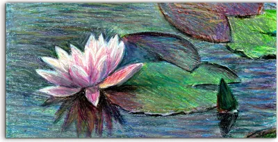 Produktbild von Coloray Acrylbild 100x50  Wandbild Acrylbilder Kunstdruck Blumenteich Rosa See Rose