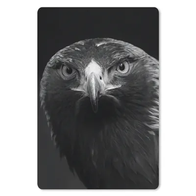 Produktbild von MuchoWow® Mauspad Mousepad Bussard - Vogel - Tiere - Schwarz - Weiß 18x27 cm - Mousepads - Maus Mat - Pad - Mausunterlage