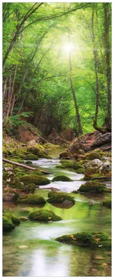 Produktbild von Wallario Wandbild aus Acryl, 125 x 50 cm, freischwebende Optik - Fluss im Wald