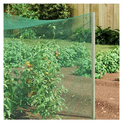 Produktbild von Vogelschutznetz Grün 4 x 10 m aus HDPE