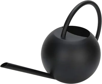 Produktbild von Gießkanne 1 l, Edelstahl, lange Tülle, schwarz, für Zimmerpflanzen