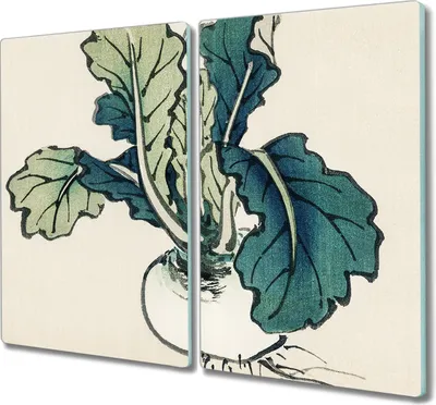 Produktbild von Coloray Küchenbrett Kochplattenabdeckung Hackbrett Schneidebrett Herdabdeckplatte 2x30x52 cm - Gemüse Zwiebel