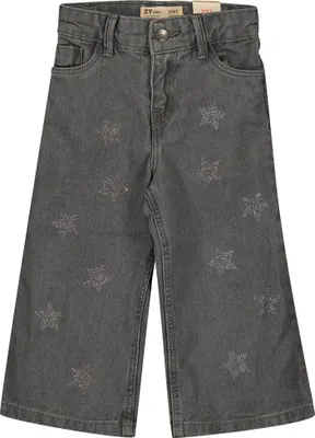 Produktbild von Zippy Zkgap0401 Hosen Grau 4-5 Years Grau 4-5 Years