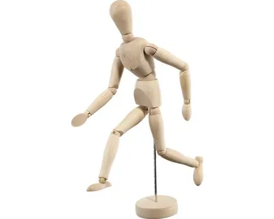 Produktbild von Holzmodell des menschlichen Körpers 30 cm