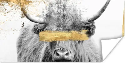Produktbild von MuchoWow® Poster Gold - Schottischer Highlander - Schwarz - Weiß 40x20 cm - Poster für die Wand - Poster Schlafzimmer