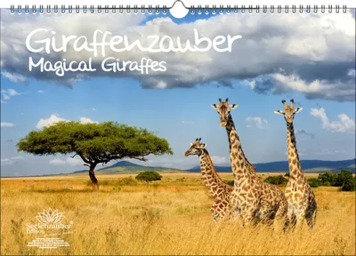 Produktbild von Giraffenzauber DIN A3 Immerwährender Kalender Giraffen - Seelenzauber
