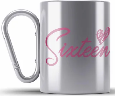 Produktbild von Trendation - 16. Geburtstag Edelstahl Tasse Karabiner Geschenk Mädchen Geschenkidee Lustig Spruch 16 Geschenke Geschenkideen zum 16 Bday 16er Witzig (Silber)