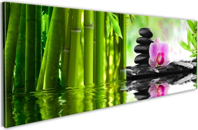 Produktbild von Modernes Wandbild 030210-115 (120x40) - 1 Teilig Bilder Fotografie auf Vlies Leinwand Foto Bild Dekoration Wand Bilder Kunstdruck Blumen